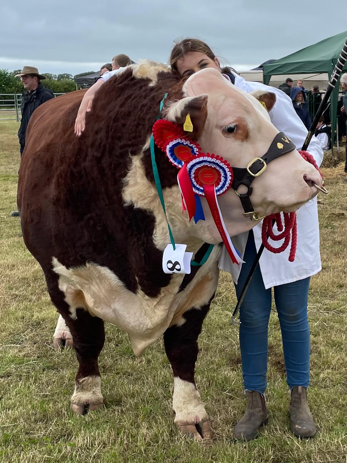 Meet The Moos Vinnie